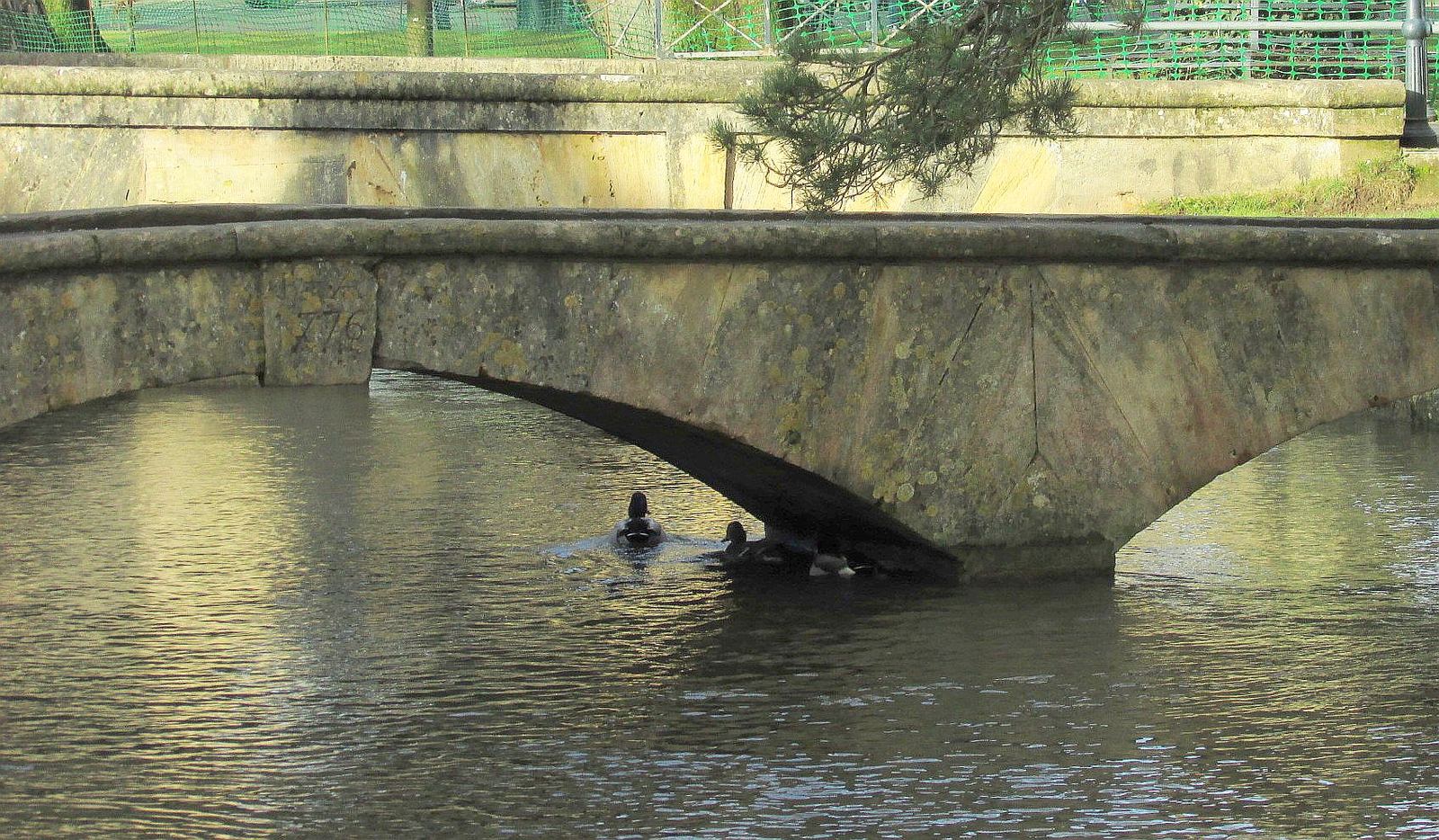 Stone bridges over the River Windrush in Bourton-on-the-Water