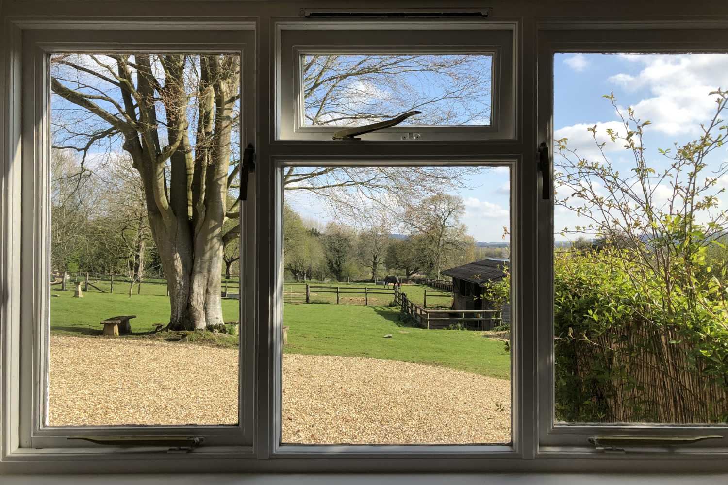 View from the studio apartment window over the garden and grounds at Whiteshoots House
